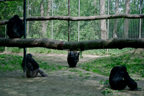 zoo leintal